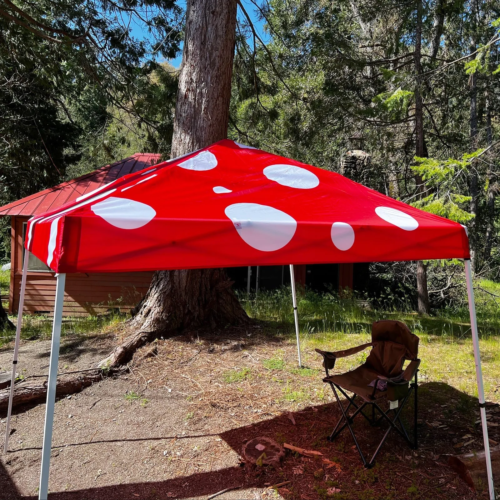 10x10 Slant Leg Pop-up Canopy Tent, 10x10 Base 8x8 Top (Red Mushroom)