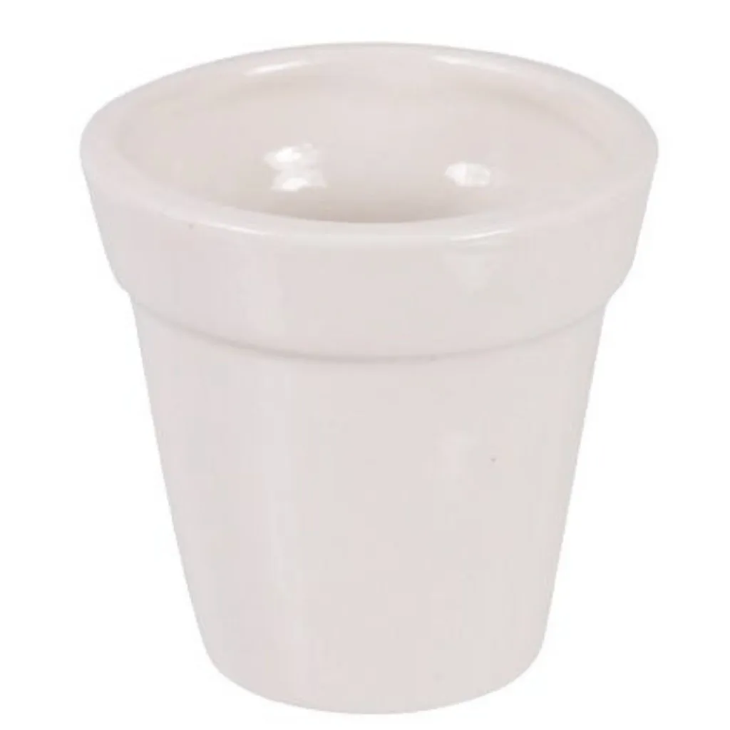 Ceramic Flower Pots